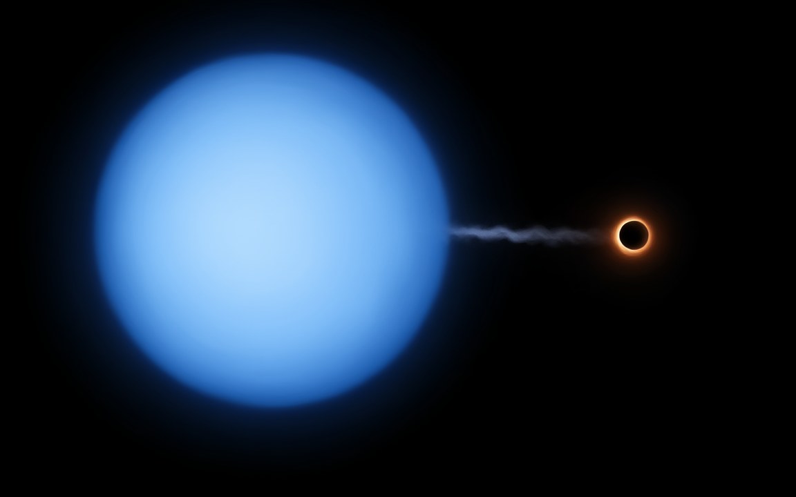 A large blue star with a thin stream of gas flowing from it to a small black hole ringed in orange, an impression of Cygnus X-1.