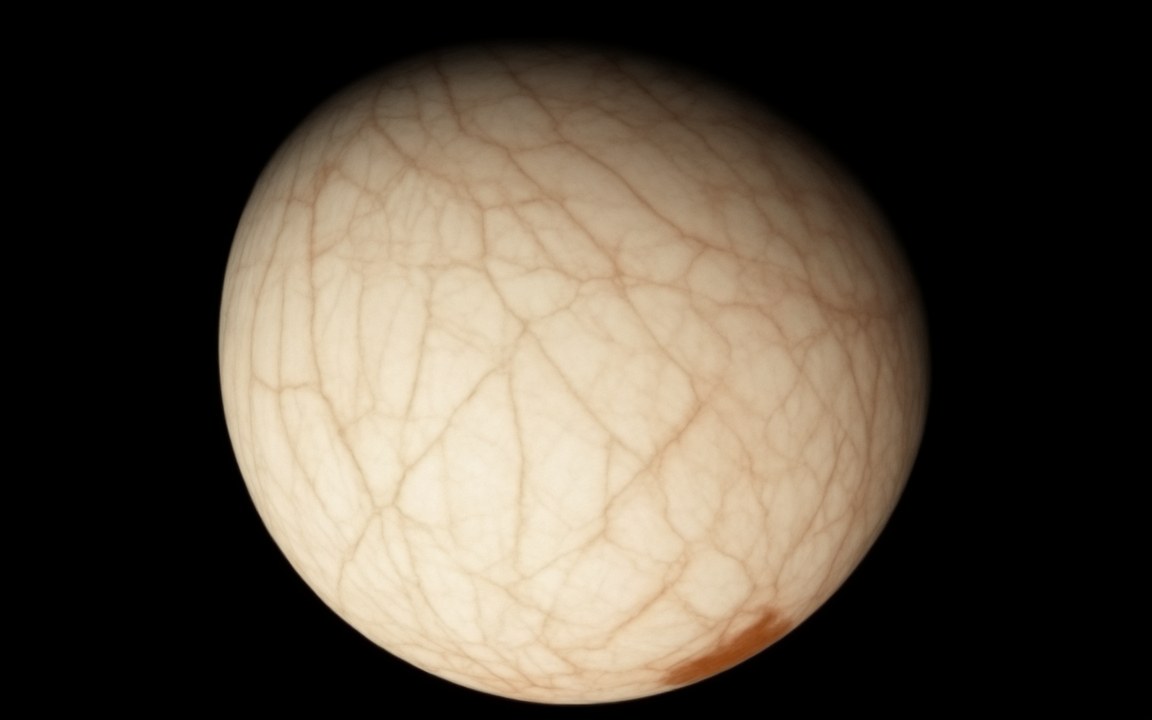 A creamy white ball covered with a criss-cross web of thin reddish-brown lines, with a rust-coloured patch near its lower edge, an impression of the cracked ice shell of Jupiter's moon Europa.